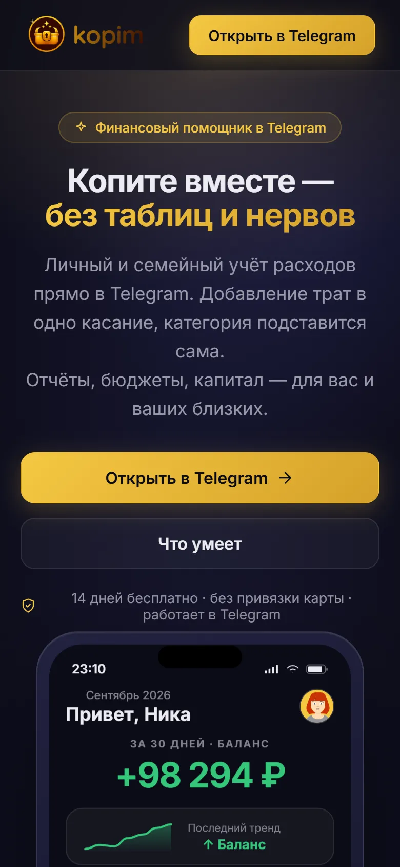 The public page of the app: expense tracking in Telegram for yourself and your family, mobile version